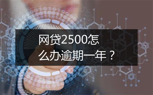 网贷2500怎么办逾期一年？