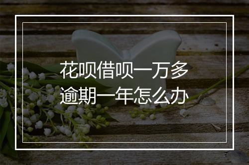 花呗借呗一万多逾期一年怎么办
