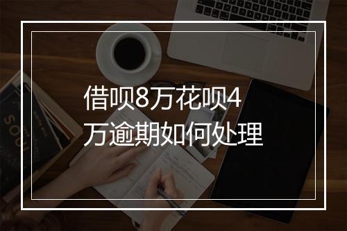 借呗8万花呗4万逾期如何处理