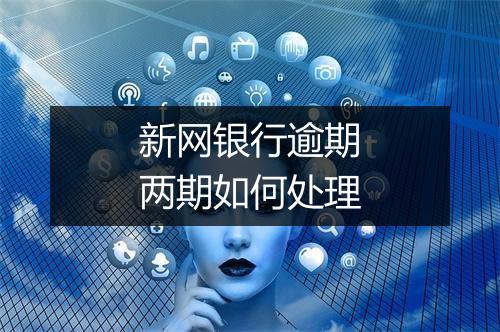 新网银行逾期两期如何处理