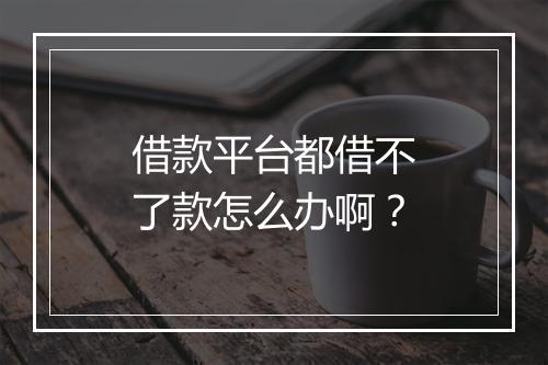 借款平台都借不了款怎么办啊？