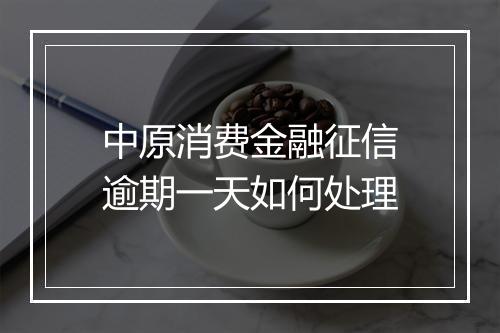 中原消费金融征信逾期一天如何处理