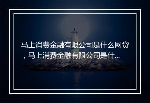 马上消费金融有限公司是什么网贷，马上消费金融有限公司是什么