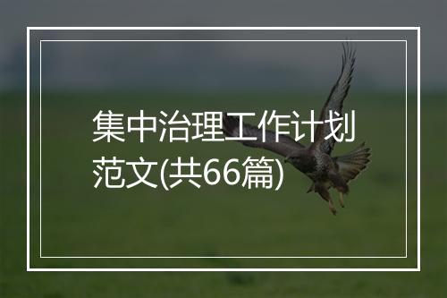 集中治理工作计划范文(共66篇)