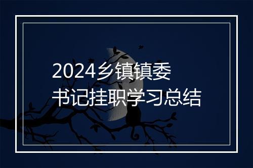 2024乡镇镇委书记挂职学习总结
