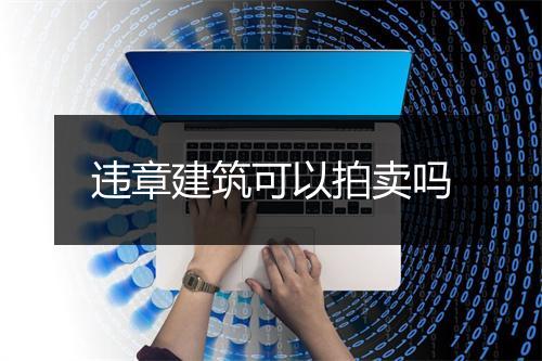 违章建筑可以拍卖吗