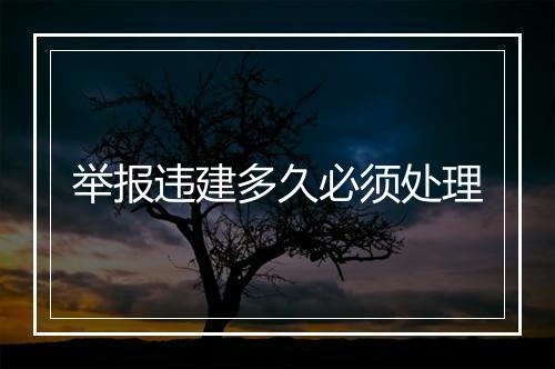 举报违建多久必须处理