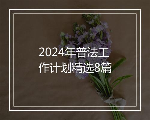 2024年普法工作计划精选8篇