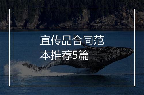 宣传品合同范本推荐5篇