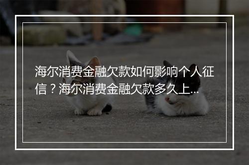 海尔消费金融欠款如何影响个人征信？海尔消费金融欠款多久上征信？