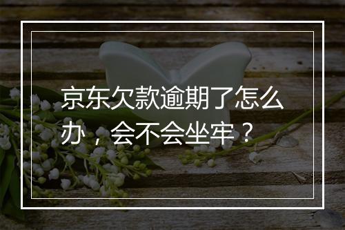 京东欠款逾期了怎么办，会不会坐牢？