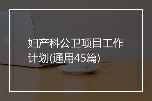 妇产科公卫项目工作计划(通用45篇)