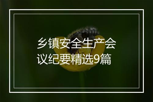 乡镇安全生产会议纪要精选9篇