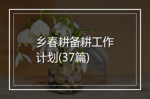 乡春耕备耕工作计划(37篇)