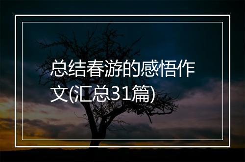 总结春游的感悟作文(汇总31篇)