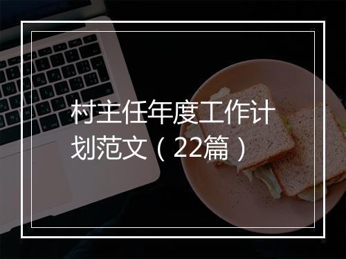 村主任年度工作计划范文（22篇）