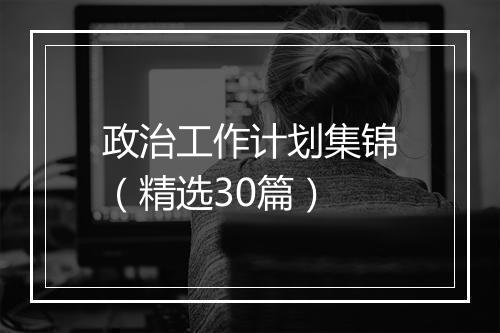 政治工作计划集锦（精选30篇）