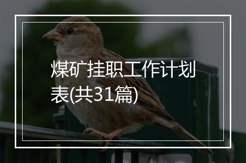 煤矿挂职工作计划表(共31篇)