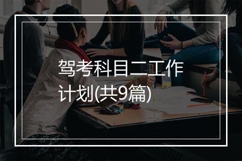 驾考科目二工作计划(共9篇)