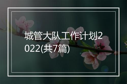 城管大队工作计划2022(共7篇)