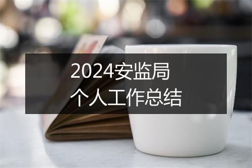 2024安监局个人工作总结