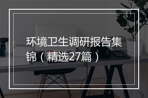 环境卫生调研报告集锦（精选27篇）