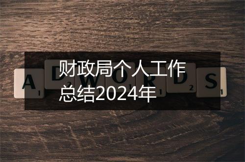 财政局个人工作总结2024年
