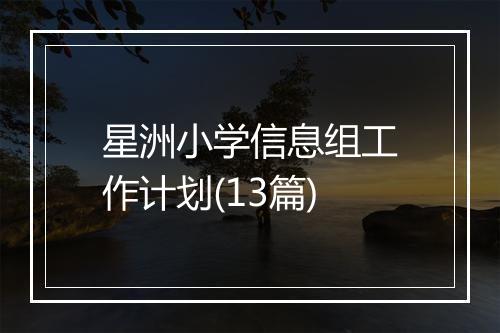 星洲小学信息组工作计划(13篇)
