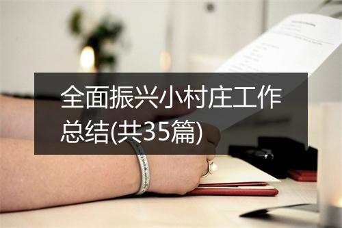 全面振兴小村庄工作总结(共35篇)