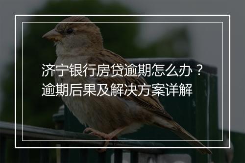 济宁银行房贷逾期怎么办？逾期后果及解决方案详解