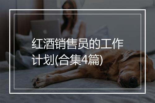 红酒销售员的工作计划(合集4篇)