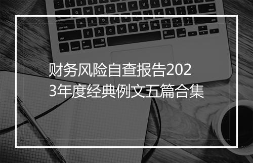 财务风险自查报告2023年度经典例文五篇合集