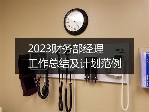 2023财务部经理工作总结及计划范例