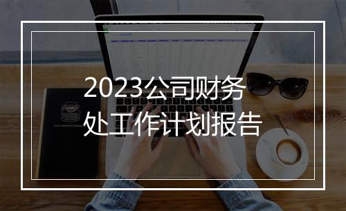 2023公司财务处工作计划报告