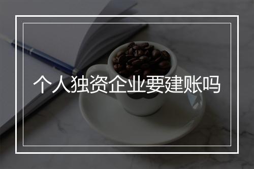 个人独资企业要建账吗