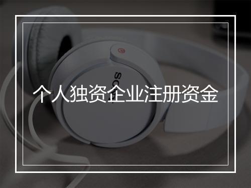 个人独资企业注册资金