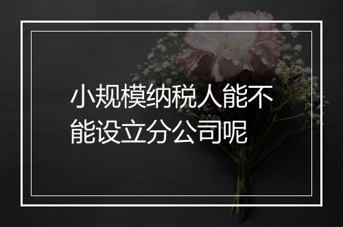 小规模纳税人能不能设立分公司呢