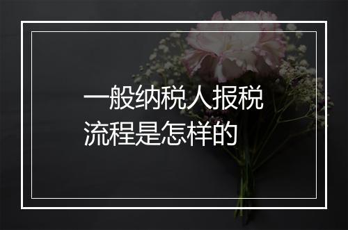 一般纳税人报税流程是怎样的