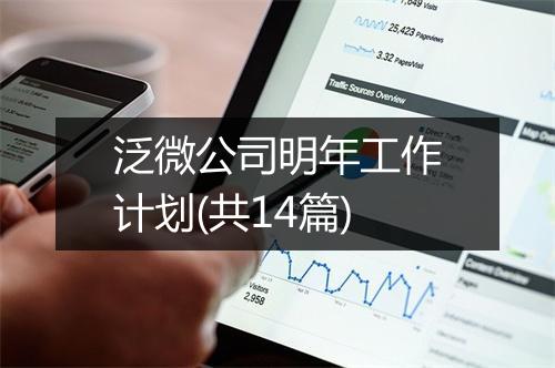 泛微公司明年工作计划(共14篇)