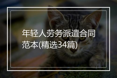 年轻人劳务派遣合同范本(精选34篇)