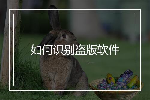 如何识别盗版软件