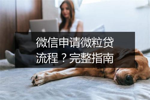 微信申请微粒贷流程？完整指南
