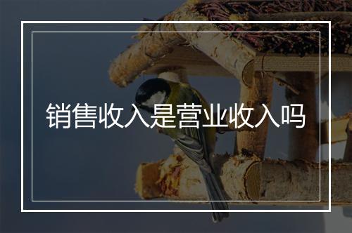 销售收入是营业收入吗