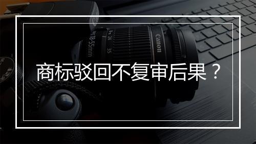 商标驳回不复审后果？