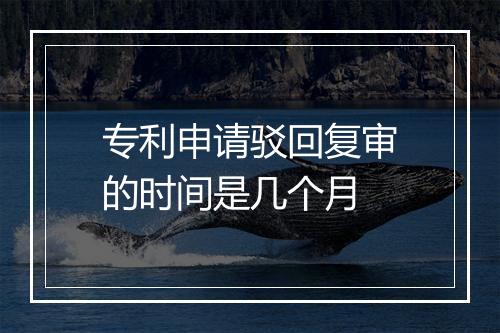 专利申请驳回复审的时间是几个月