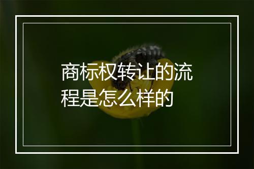 商标权转让的流程是怎么样的