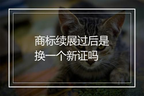 商标续展过后是换一个新证吗