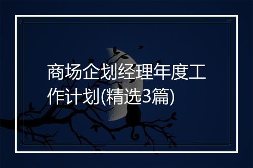 商场企划经理年度工作计划(精选3篇)