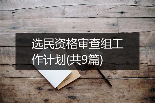 选民资格审查组工作计划(共9篇)