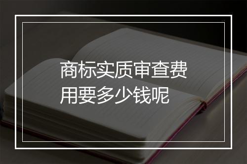 商标实质审查费用要多少钱呢